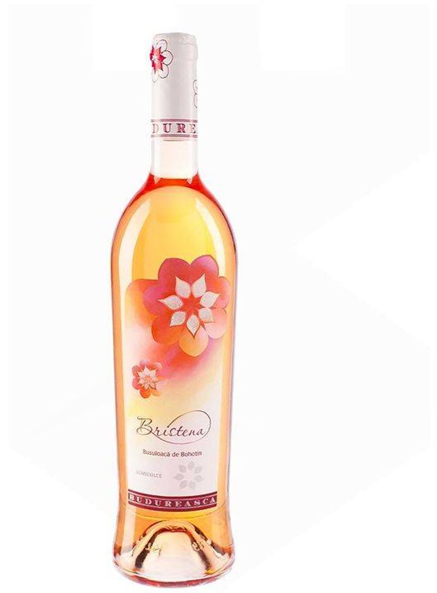 Bristena Busuioacă Bohotin